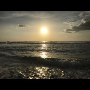 Meet your Posher, Dorothy